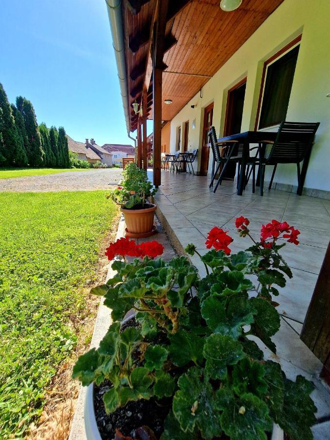 Ibolya Vendeghaz Apartment Kehidakustány Exterior foto